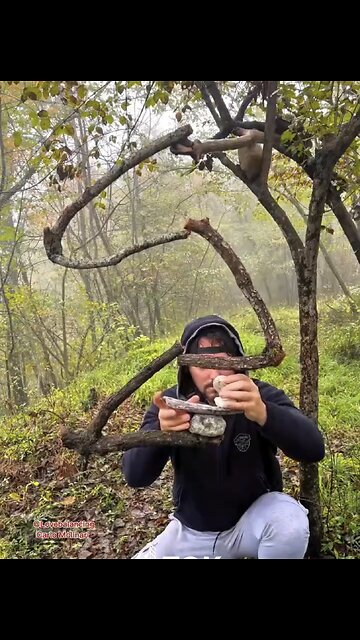 CHALLENGING THE FORCE OF GRAVITY🌳🧱🏋️‍♂️💫