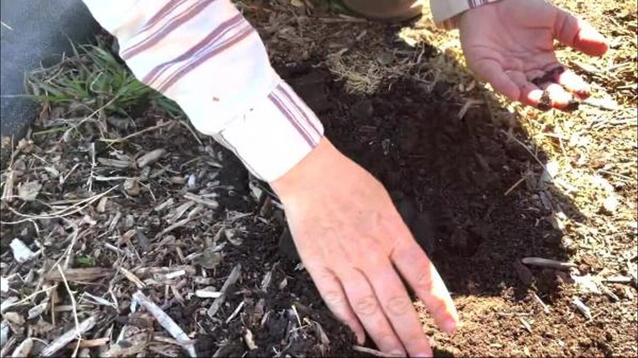 Using a Weed Barrier to Create Better Soil