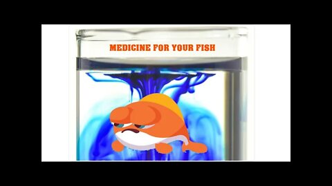 HOW TO USE METHYLENE BLUE TO CURE YOUR FISH
