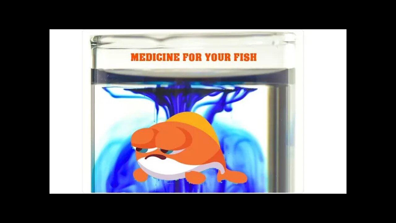 HOW TO USE METHYLENE BLUE TO CURE YOUR FISH