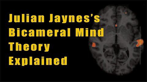 Julian Jaynes's Bicameral Mind Theory Explained | An Interview with JJS Founder Marcel Kuijsten