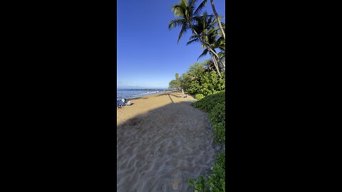 Ulua Beach 🏖️ Maui, Hawaii 🌺