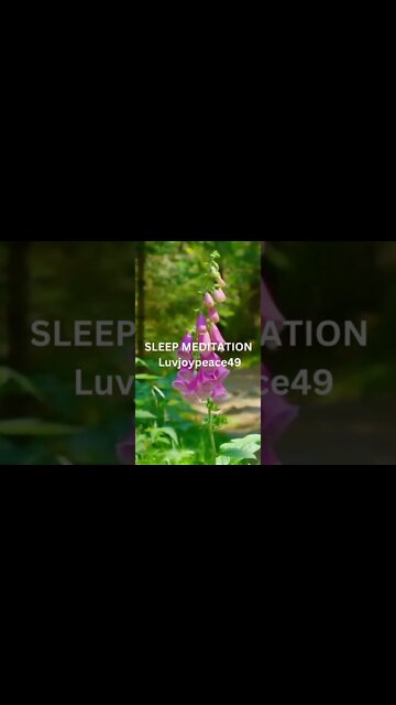 #SHORTS/Relaxing Music/Meditation Music/Sleep Music/Spa Music/Zen Music/Yoga Music