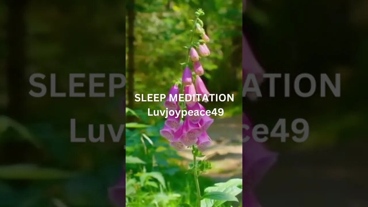 #SHORTS/Relaxing Music/Meditation Music/Sleep Music/Spa Music/Zen Music/Yoga Music