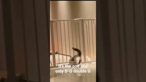 MEME is the one and only D-O double G #shorts