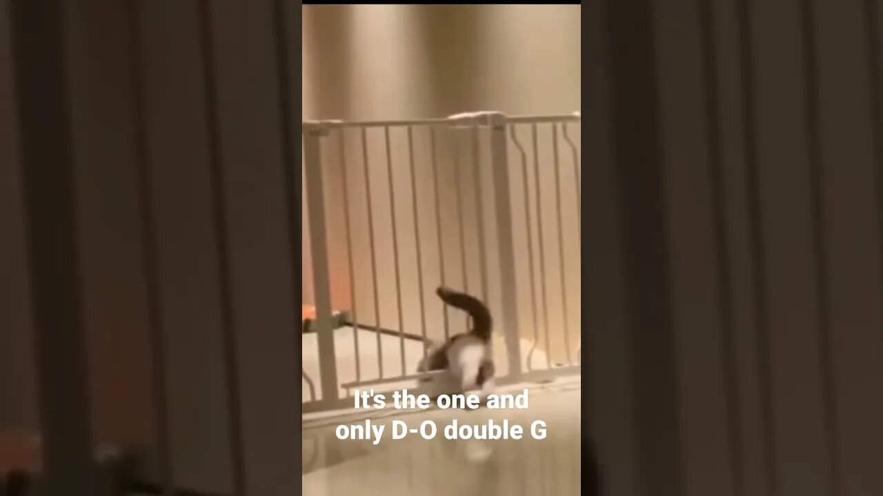 MEME is the one and only D-O double G #shorts