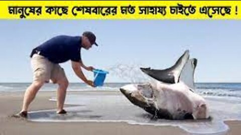 এটি দেখার পর কোনো প্রানীকে কস্ট দেয়ার আগে আপনার বুক কেপে উঠবে।