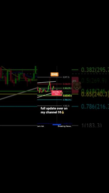 BNB Looks Bearish! Prices to watch for a bottom 😱💎🙌