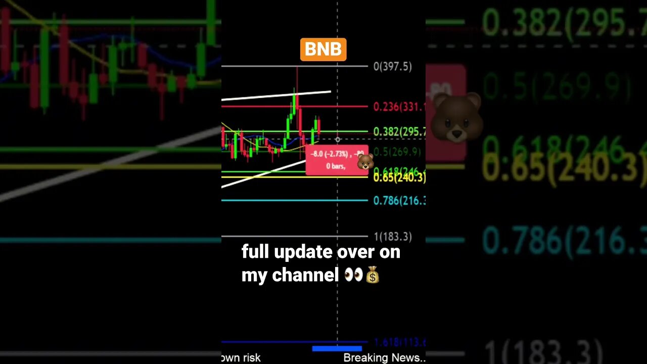 BNB Looks Bearish! Prices to watch for a bottom 😱💎🙌