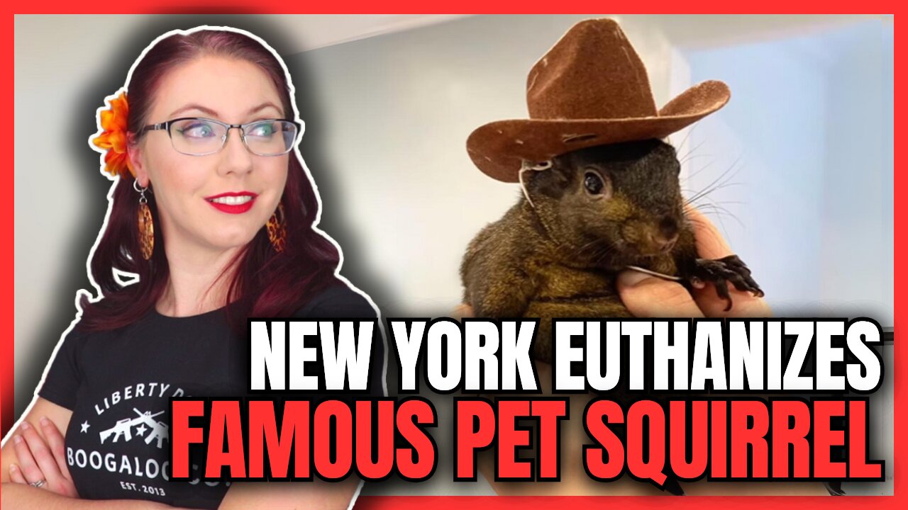 New York Euthanizes Famous Pet Squirrel | Peanut the Squirrel