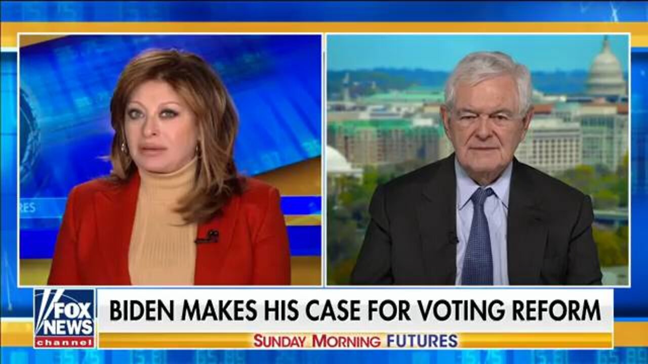 Newt Gingrich: Democrats are ‘running over people’s civil liberties’