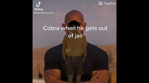Andrew Tate when he gets out of jail