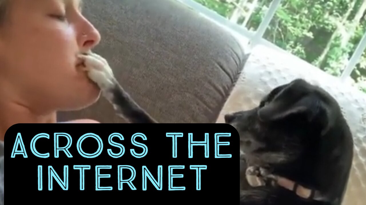 Across the Internet