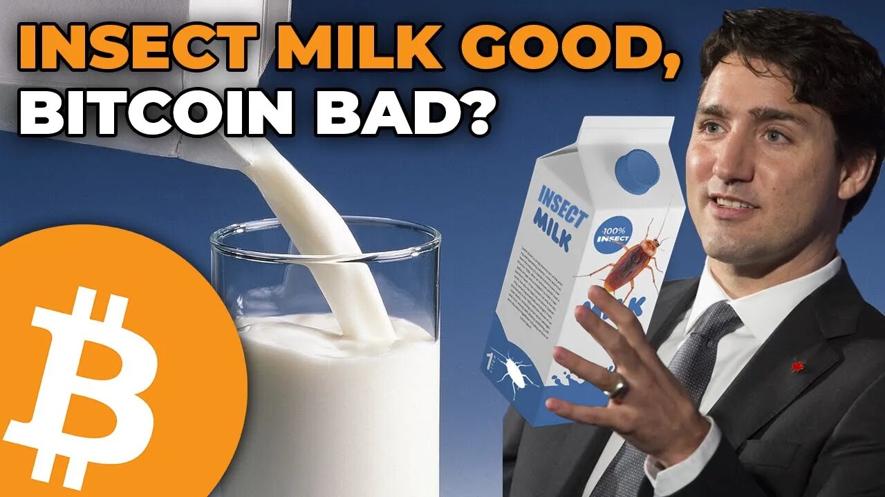 Insect Milk Good, Bitcoin Bad?