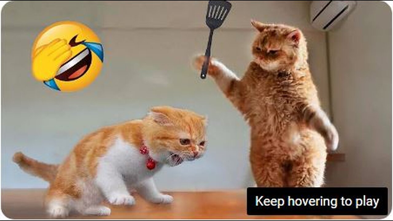 1 Hour Trending Funny Dogs And Cats Videos 😂 Funniest Cats and Dogs 😸🐶