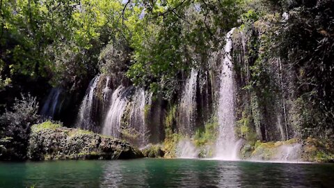 The MOST Calming Nature Sounds of Waterfall With Some Light Bird Noise For An Epic Power Nap