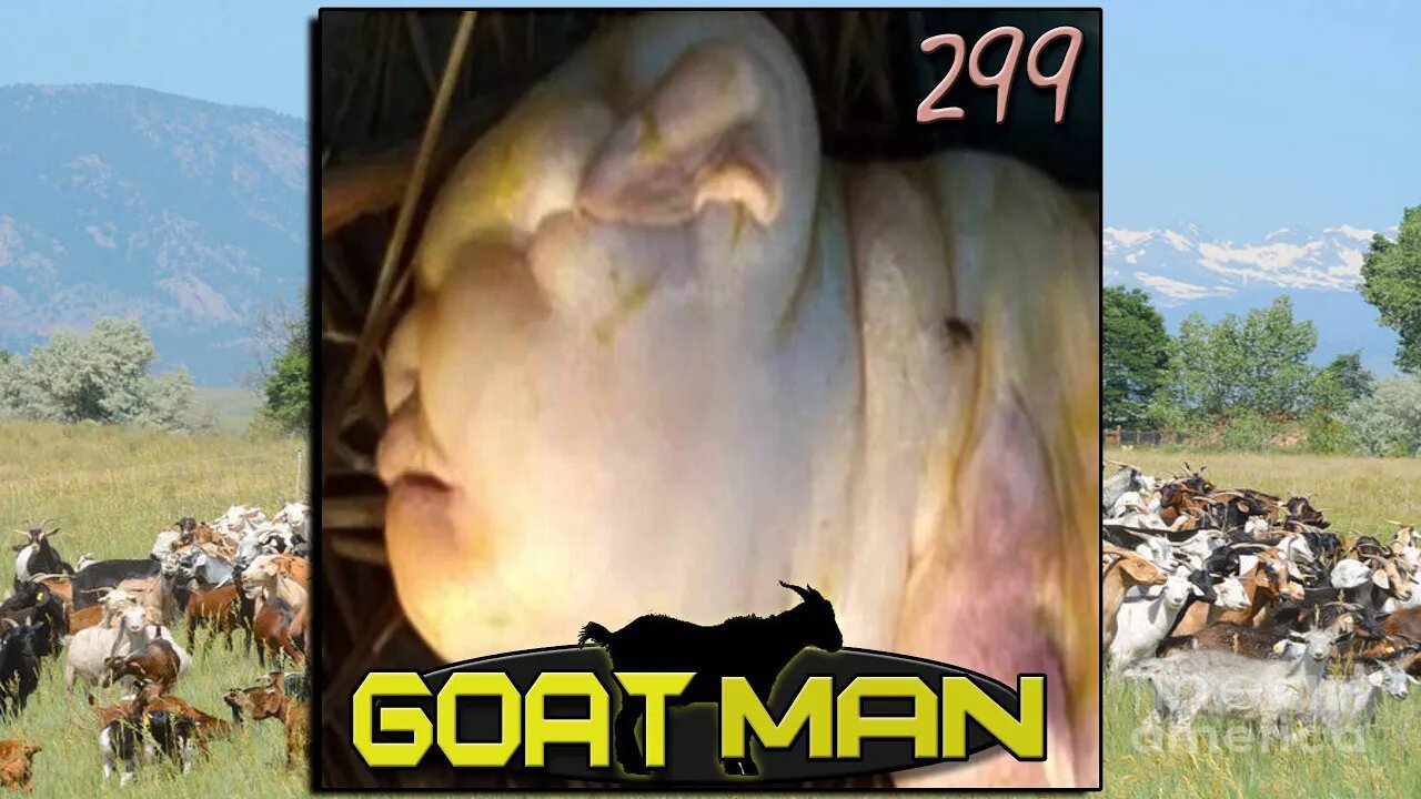 Guy Definitely Didn't F*ck A Goat - Clever Name Podcast #299