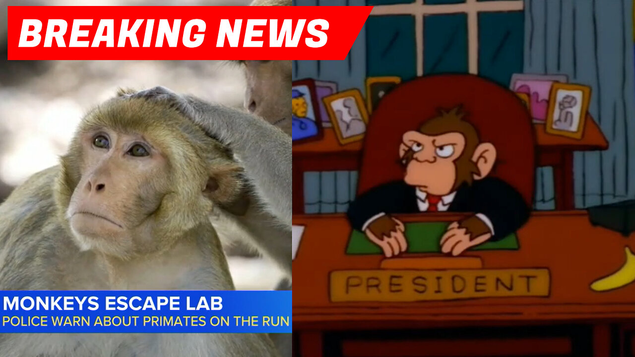 Monkey Escape