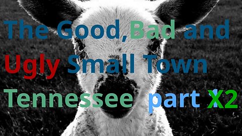 The Good of the good,bad & Ugly truth small town Tennessee