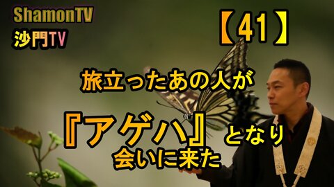 【41】旅立ったあの人が『アゲハ』となり会いに来た(沙門の開け仏教の扉)法話風ザックリトーク