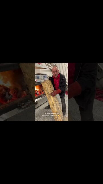 #shorts #2022 funny,prank,funjokes,dad jokes,funny memes,funny video,fun,laughing,funny animal,knock