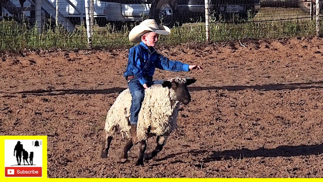 Mutton Bustin Saints Roost Ranch Rodeo