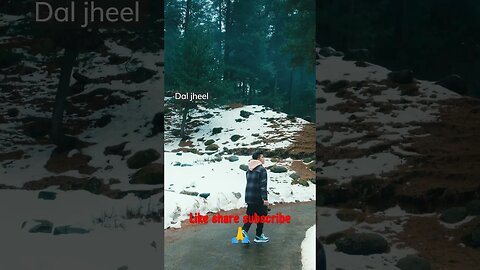 jammu kashmir ke tourist place#jammukashmir #veshnodevi #tulipgarden #shalimargarden #gulmarg #vlog