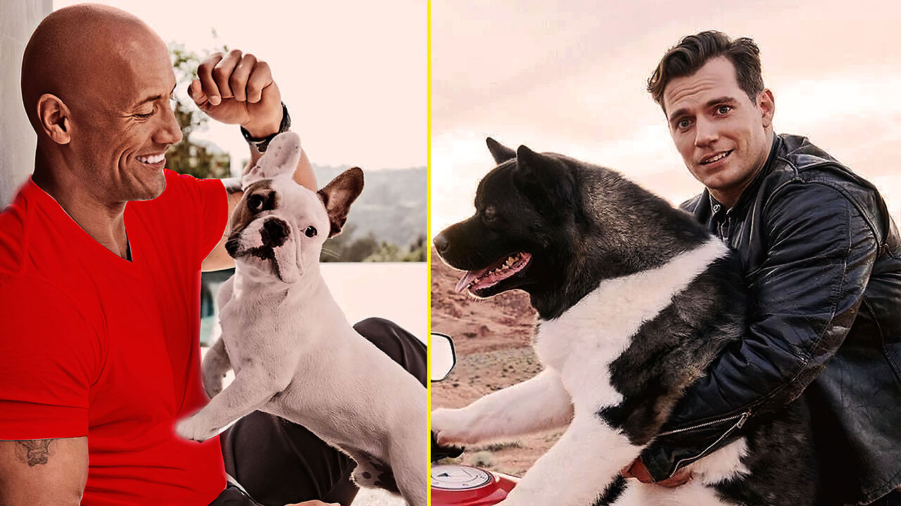 Here are Famous Pets of the Most Famous Celebrities