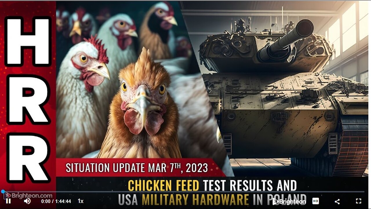 Situation Update, March 7, 2023 - Chicken feed test results and USA military hardware in Poland