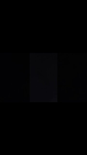 A Sea Of Beta Females