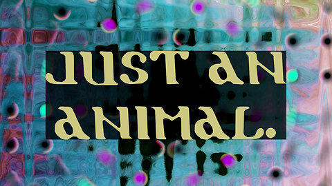 OCCO - just an animal. (lyric video)