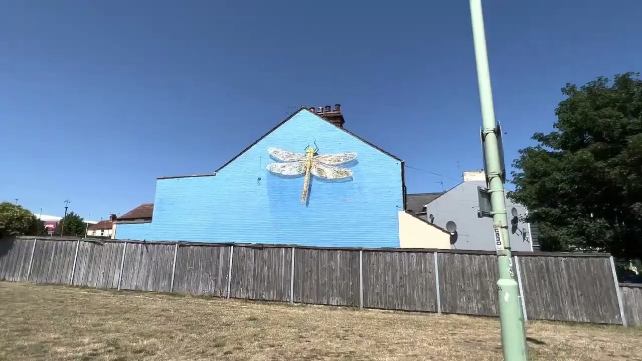 Not a Banksy but worth a look, dragon fly in lowestoft