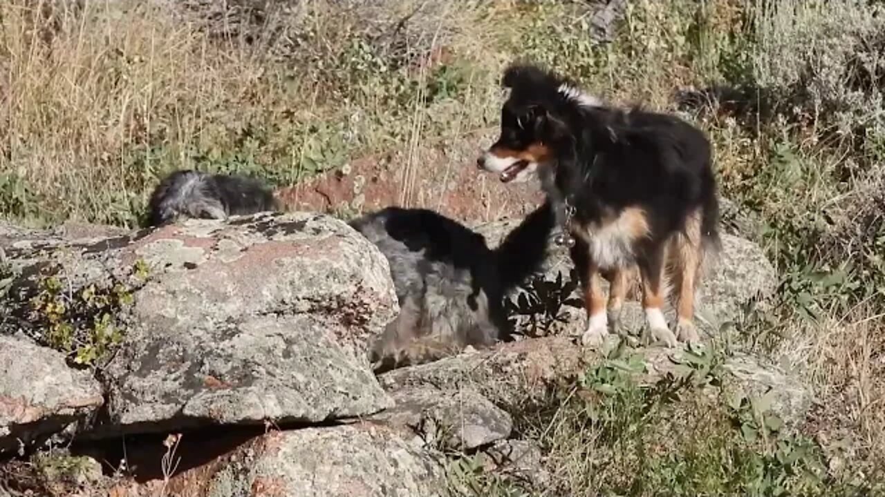 The Path Of Least Resistance