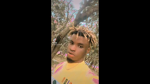Forest vibe