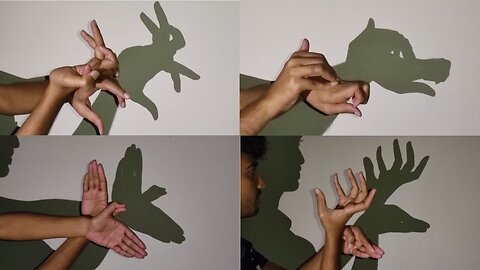 Hand Shadow Puppet Tutorial - Handicraft