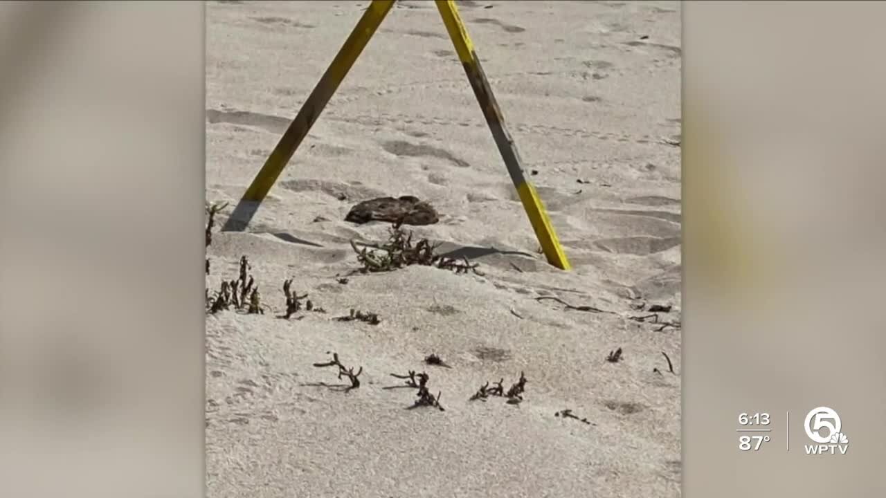 Possible land mind found on beach in Indian River County