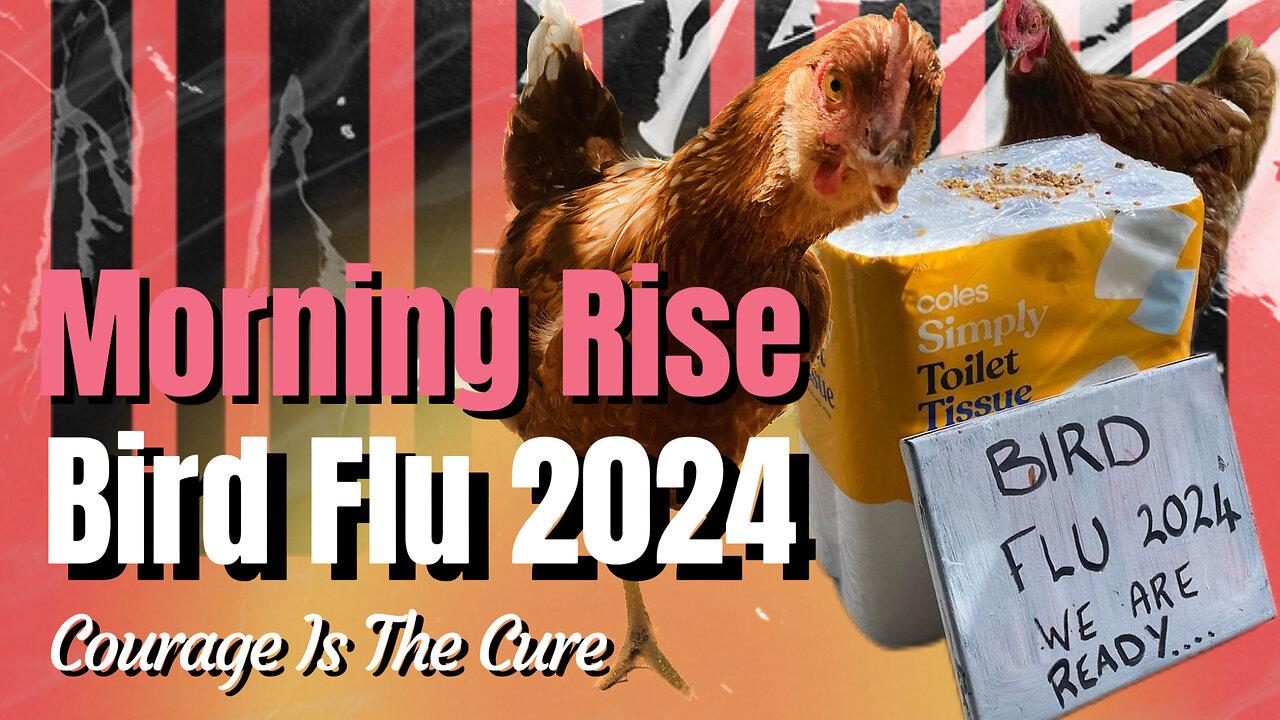 BIRD FLU 2024 on Morning Rise 27th May 2024