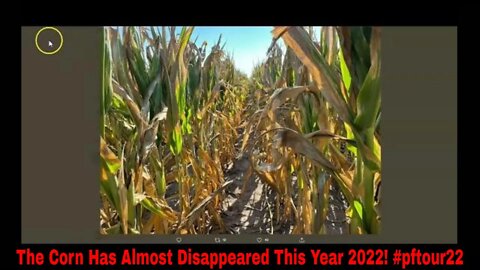 The Corn Has Almost Disappeared This Year 2022! #pftour22