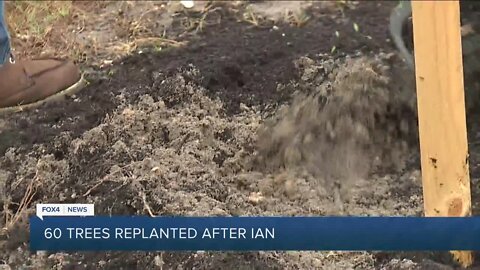 Arbor Day Foundation grant replaces trees lost in Hurricane Ian at Cultural Park