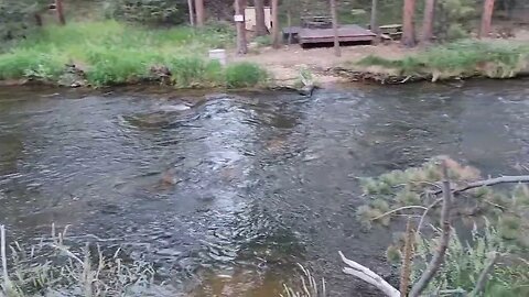 Peaceful Colorado River ~ Estes Park❤️