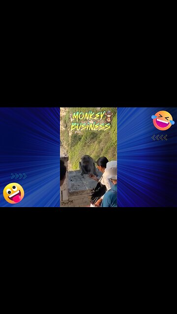 Monkey Business #shorts