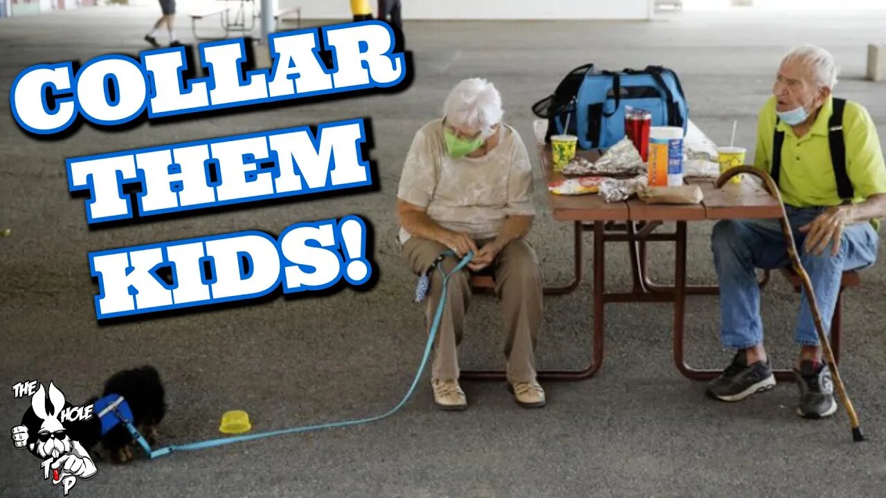 COLLAR THEM KIDS - the Whole Tip Daily