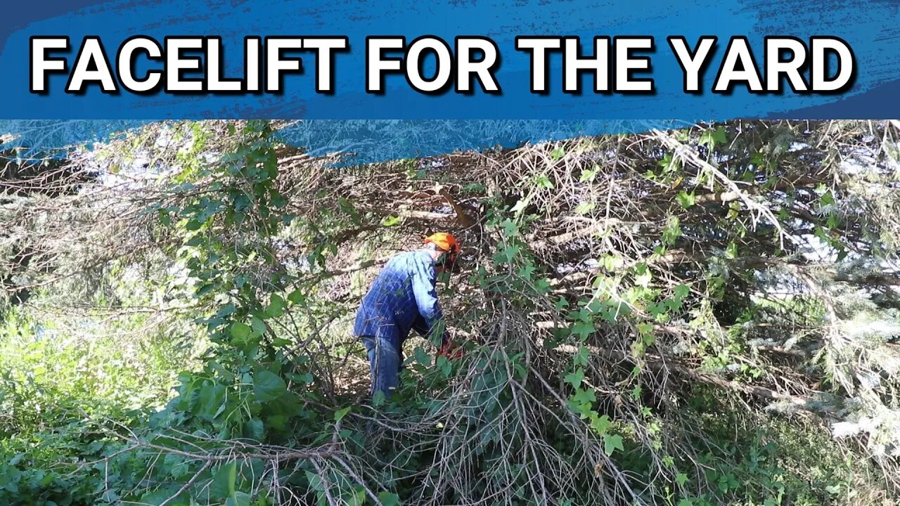 The Tree's Around The House Need A New Look | New Litter Of Kits | Barn Loft Cleaned Out
