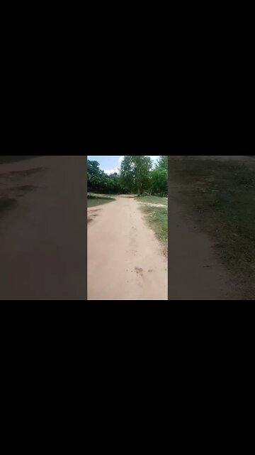 Good morning #shorts