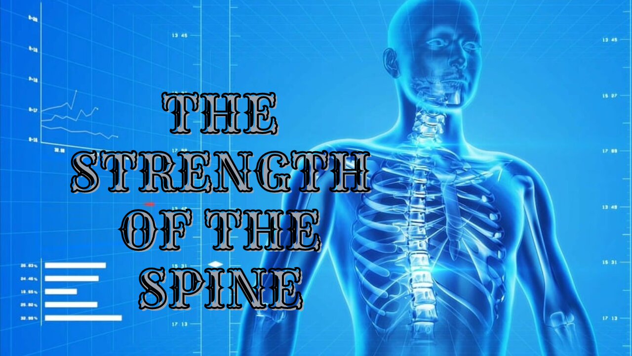 💫Healing and the Power of the Spinal Column💫 Regenerates every Cell, every Vertebra 💫