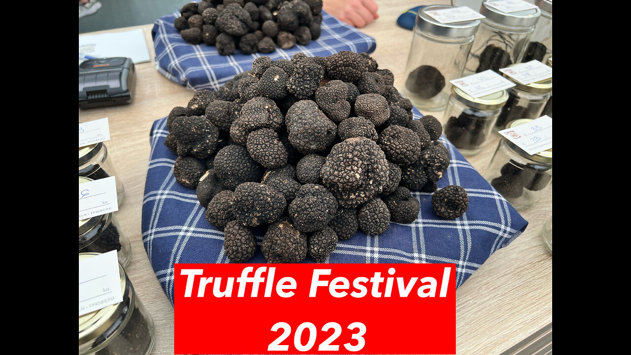 Today I visited the Zigante Truffle Festival.2023