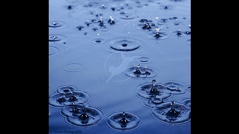 Rain drops