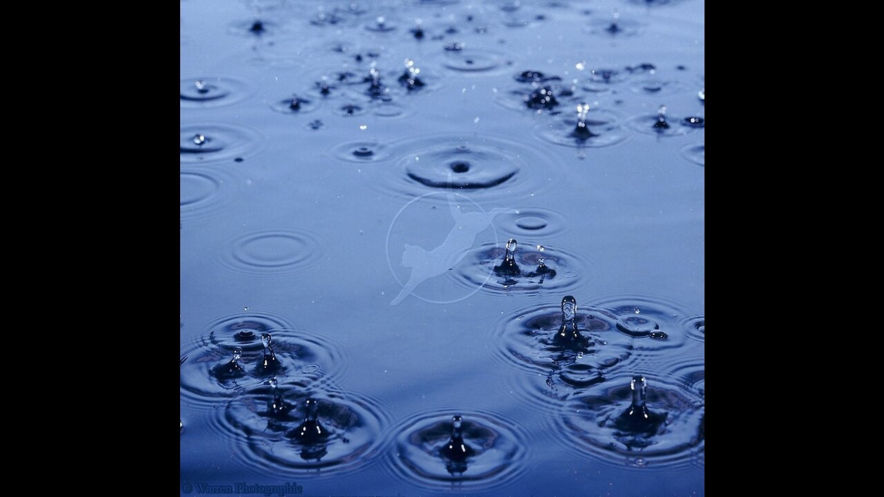 Rain drops