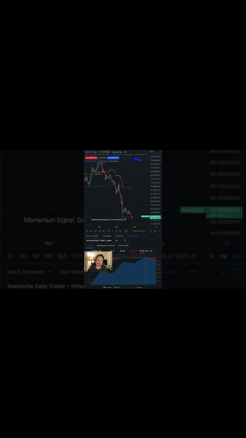 Avalanche (AVAX) Cryptocurrency Daily Update #avalanche #avax #crypto