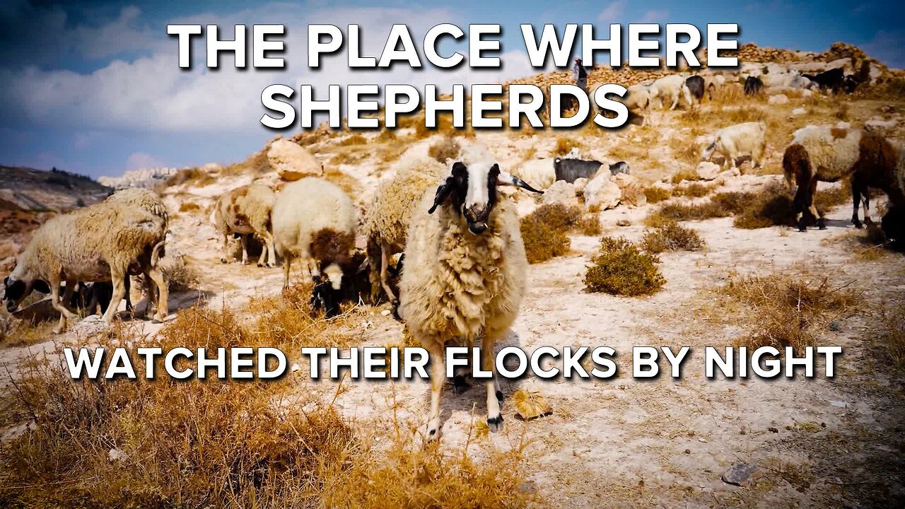 Visiting Where the Shepherds Watched Their Flocks By Night 12/23/2022